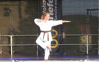 2015-07-17 Nacht der Kulturen - Budo Sport Karate Show - Steffi 200px
